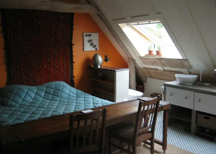 Du Toucan Misy-sur-Yonne